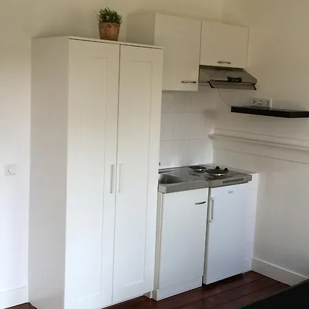 Dieskant * 's-Hertogenbosch (Den Bosch)