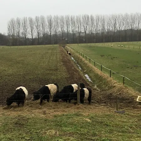 De Dieskant 's-Hertogenbosch (Den Bosch)