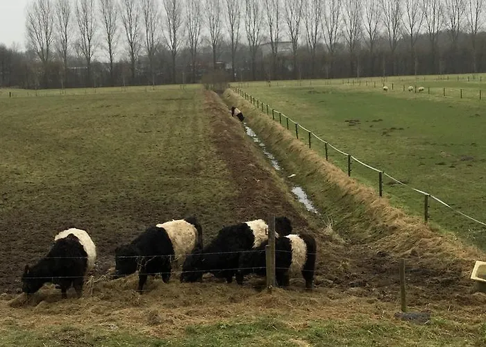 De Dieskant 's-Hertogenbosch (Den Bosch)