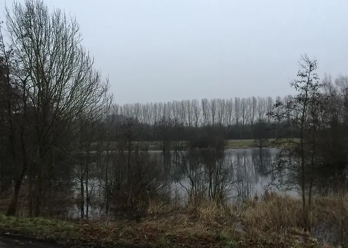 De Dieskant Dom wakacyjny *